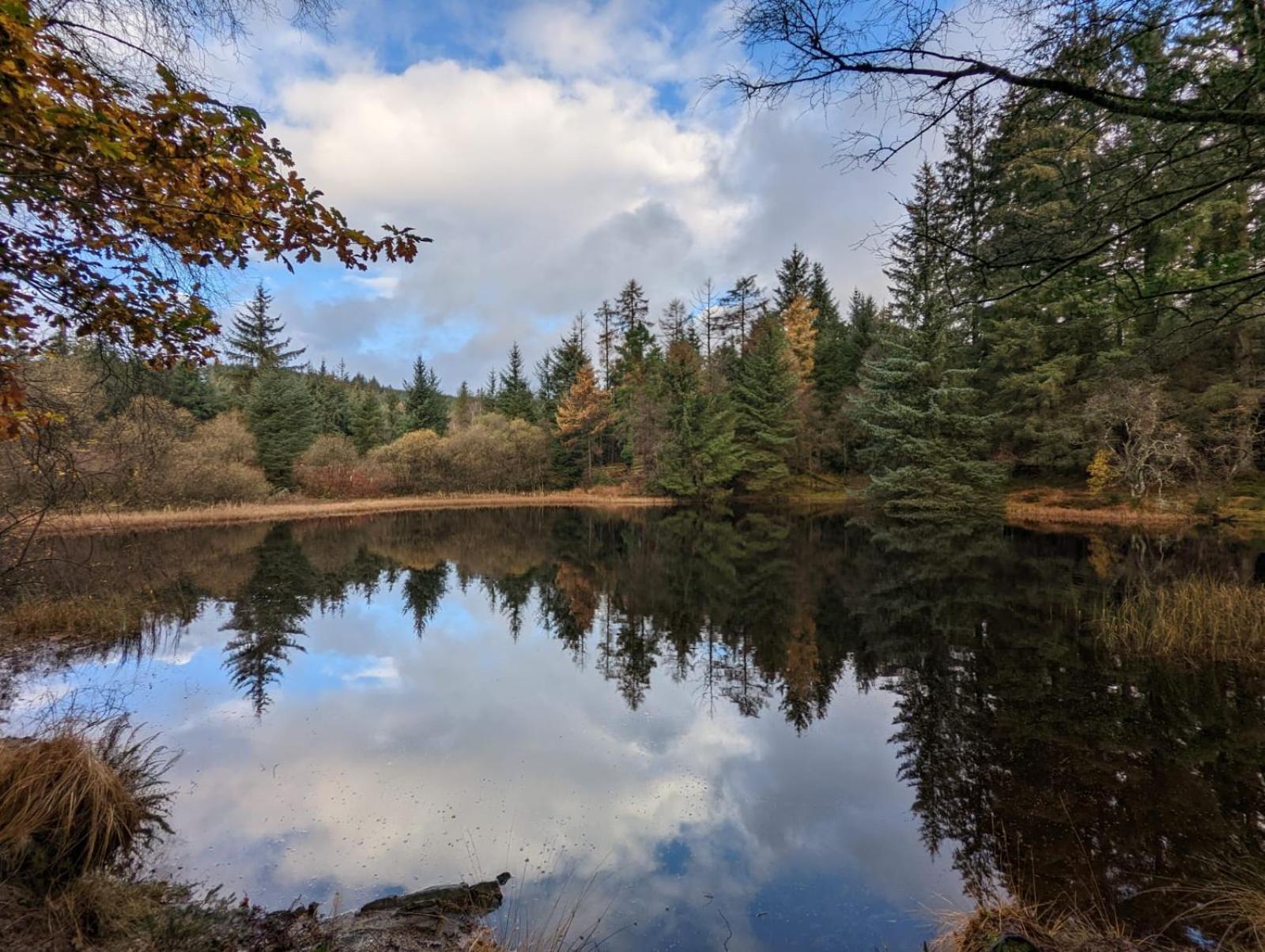 Nordlys Cottage Newton Stewart Dış mekan fotoğraf