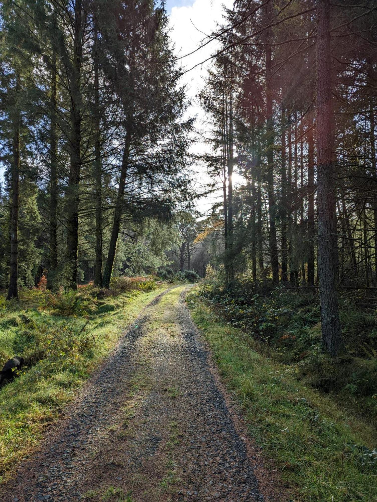 Nordlys Cottage Newton Stewart Dış mekan fotoğraf