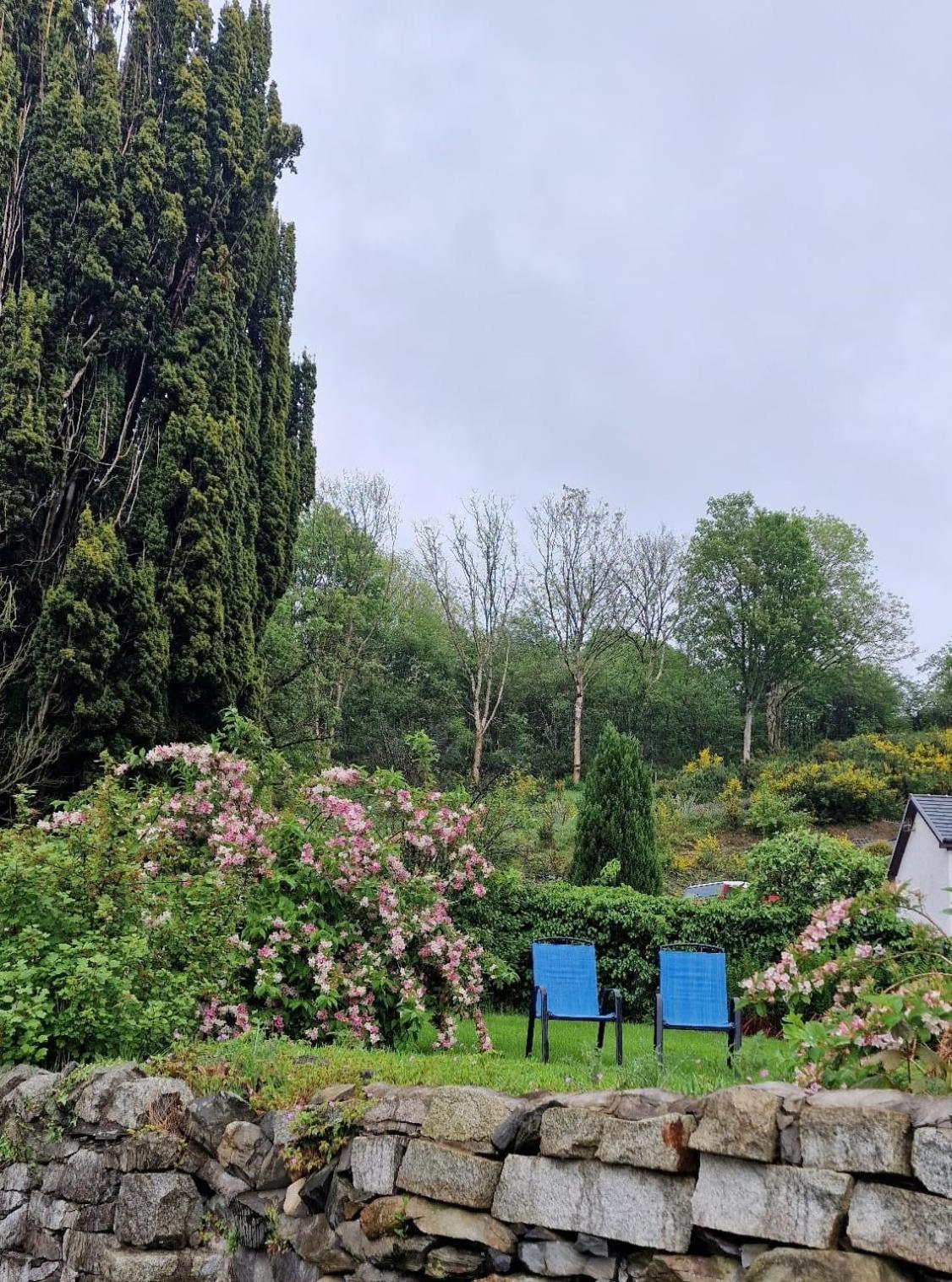 Nordlys Cottage Newton Stewart Dış mekan fotoğraf