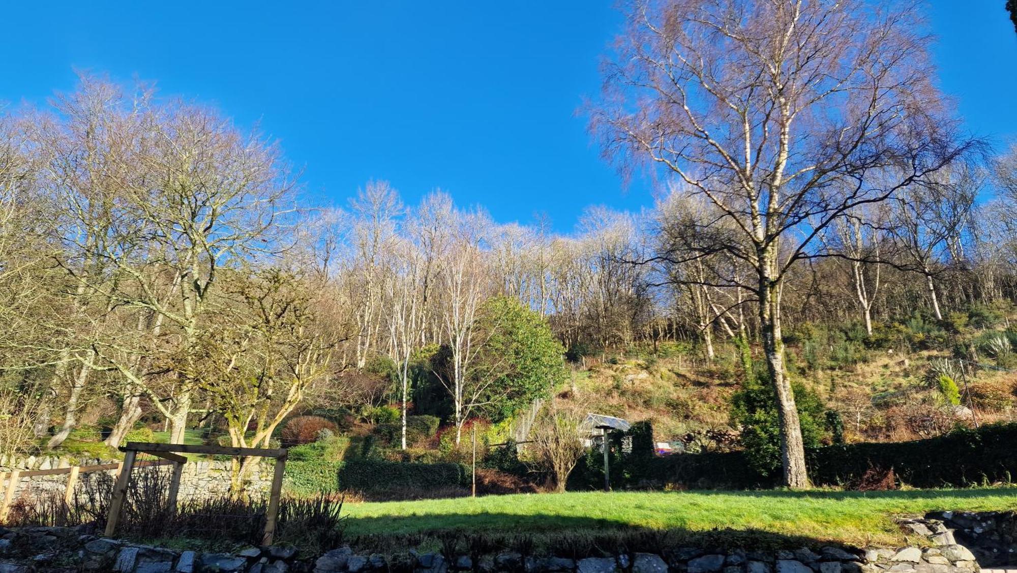 Nordlys Cottage Newton Stewart Dış mekan fotoğraf